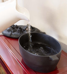 Plow &amp; Hearth Wood Stove Accessories | Fireplace &amp; Hearth Cast Iron Dog Wood Stove Steamer - Black