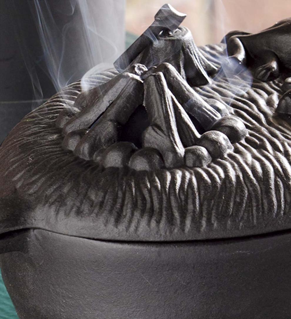 Plow &amp; Hearth Wood Stove Accessories | Fireplace &amp; Hearth Cast Iron Dog Wood Stove Steamer - Black