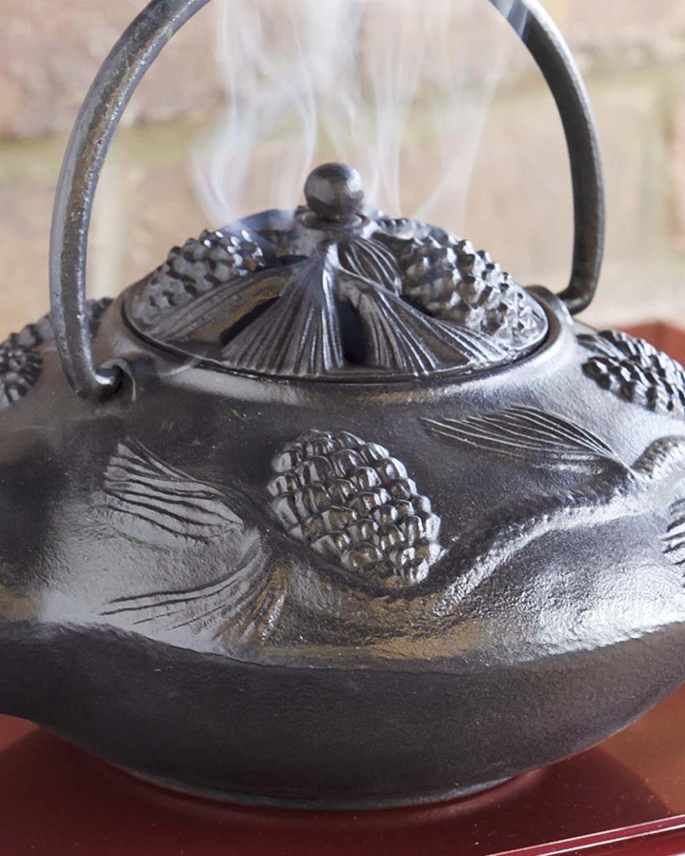 Plow &amp; Hearth Wood Stove Accessories | Fireplace &amp; Hearth Cast Iron Wood Stove Kettle Steamer With Pine Cone Design - Black