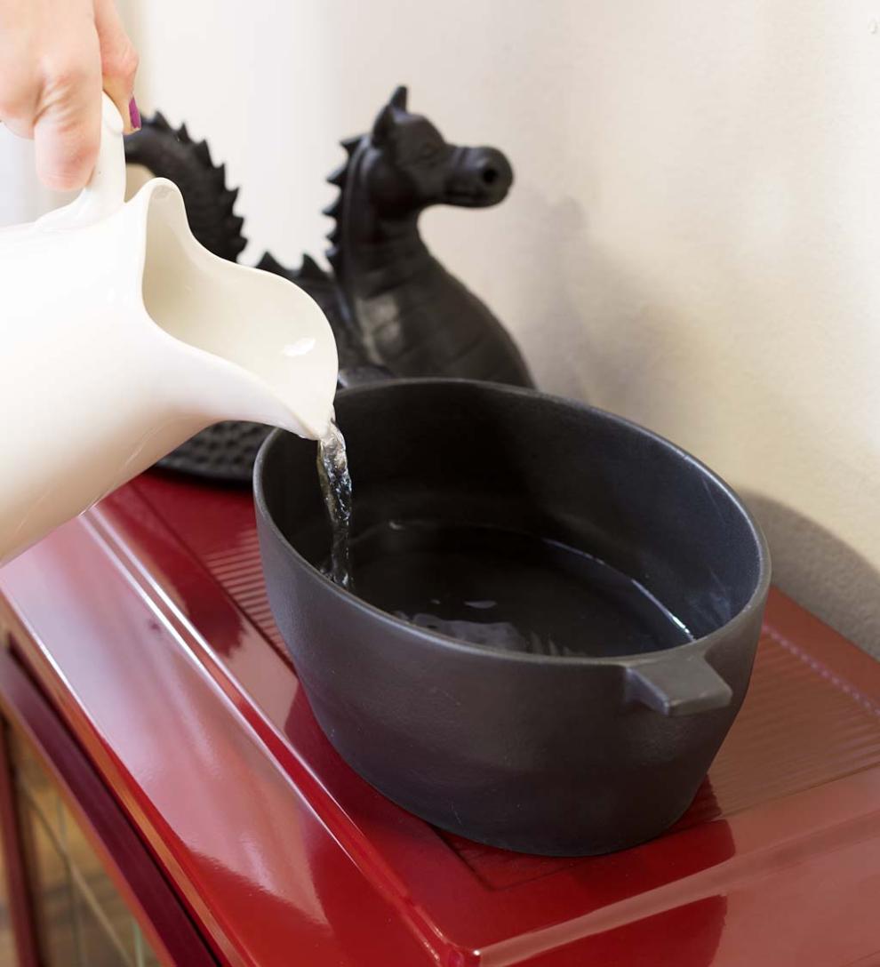 Plow &amp; Hearth Wood Stove Accessories | Fireplace &amp; Hearth Dragon Woodstove Steamer In Cast Iron - Black